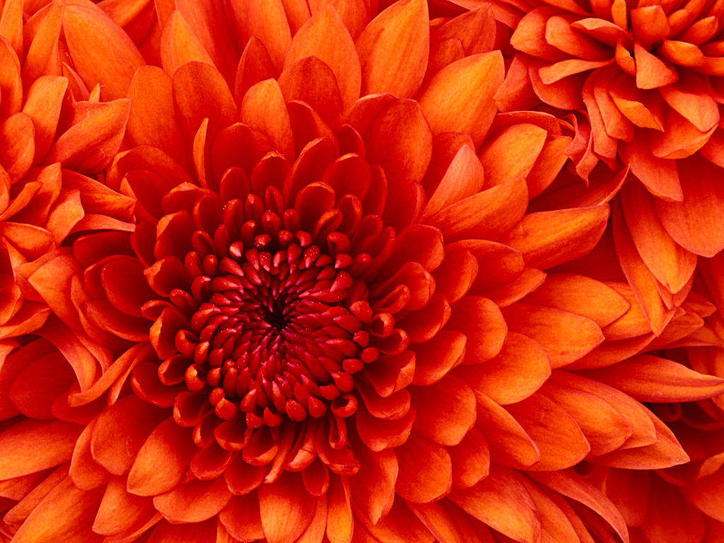 test37